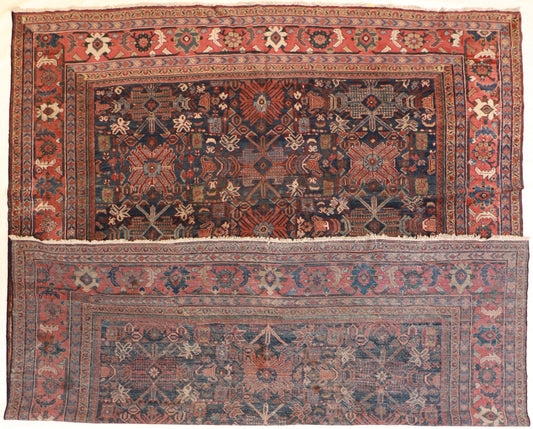 11 x 13 - Lillihan Fine All Over Rectangle - Hand Knotted Rug — 14204