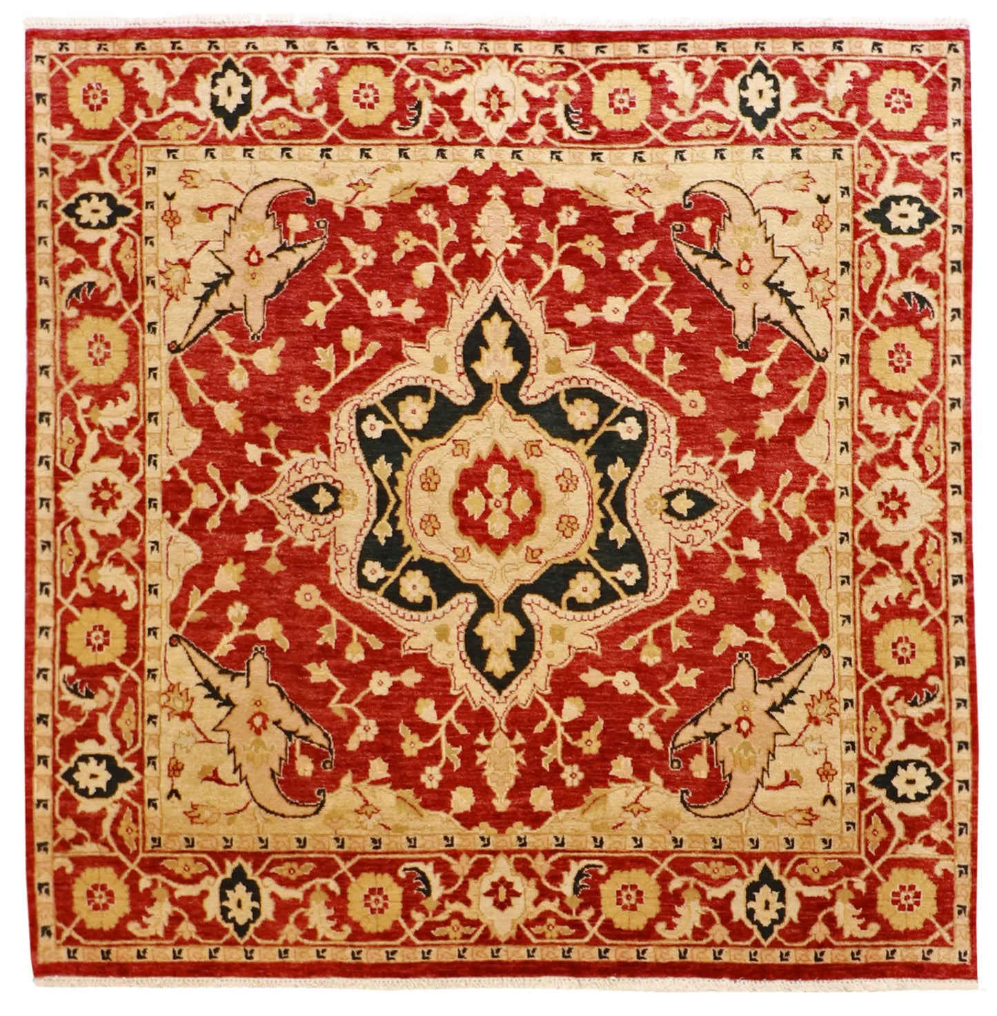 Square - Serapie Wool All Over - Hand Knotted Rug