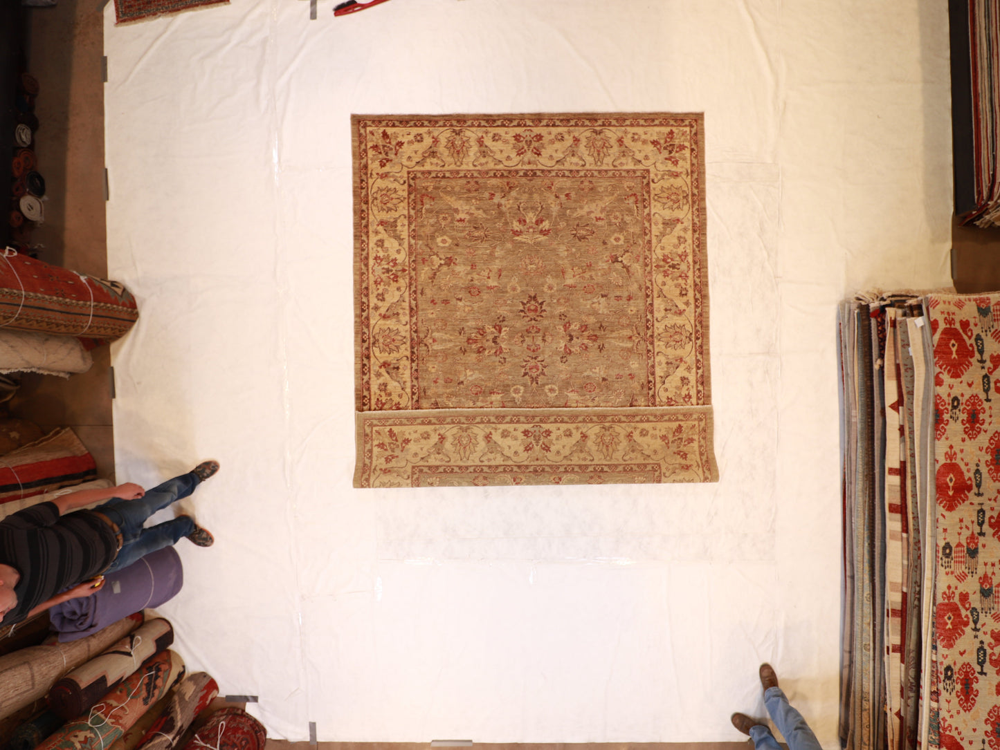 8x10 - Agra Fine Wool All Over Rectangle - Hand Knotted Rug