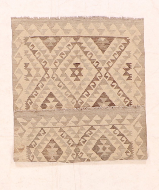 3x5 - Kilim Fine Wool All Over Rectangle - Hand Knotted Rug