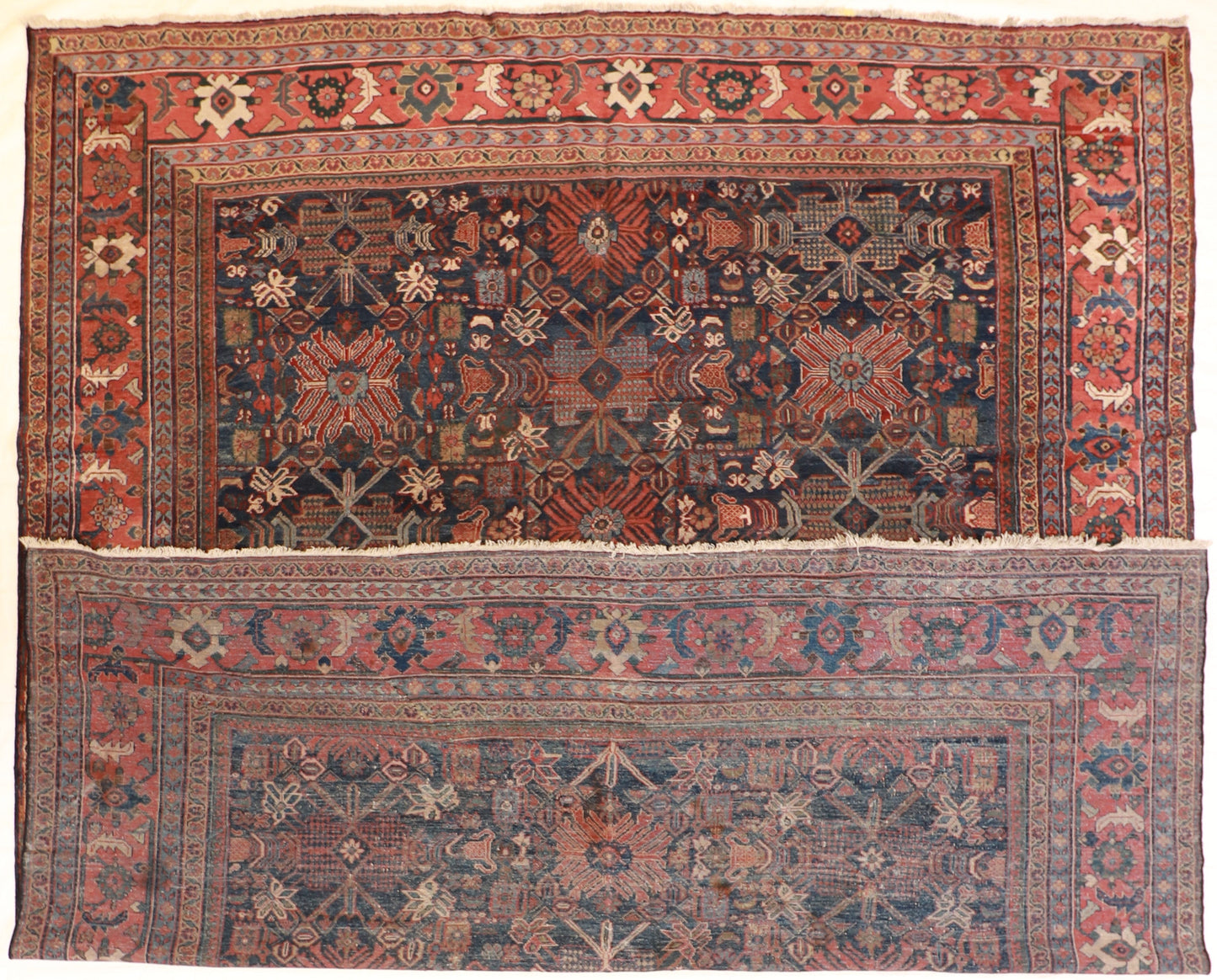 11 x 13 - Lillihan Fine All Over Rectangle - Hand Knotted Rug