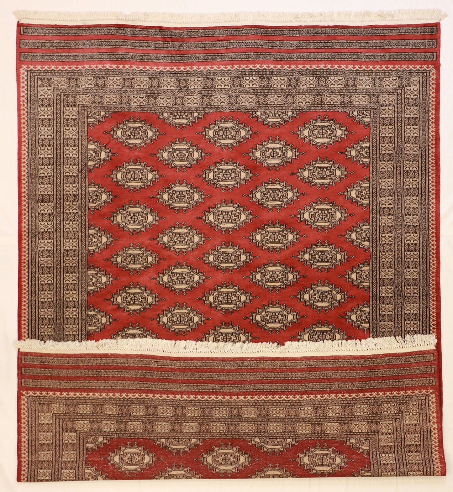 6x9 - Bokhara Wool All Over Rectangle - Hand Knotted Rug