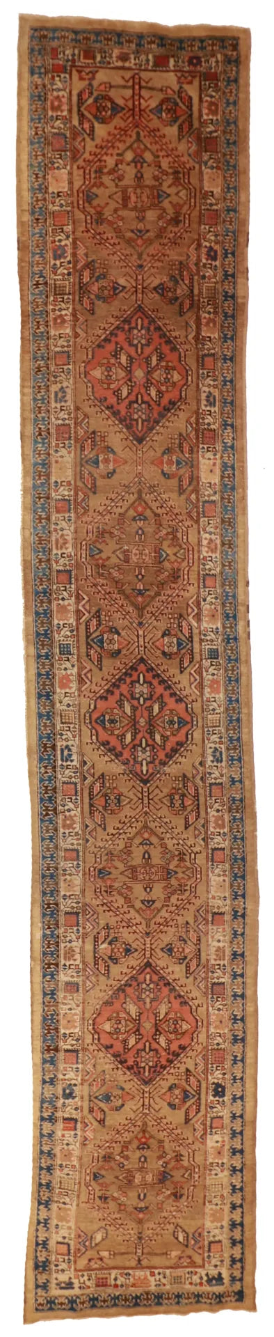 W 3 - L 16.7 - Sarab Fine Geometric Rectangle - Hand Woven Rug - 23542
