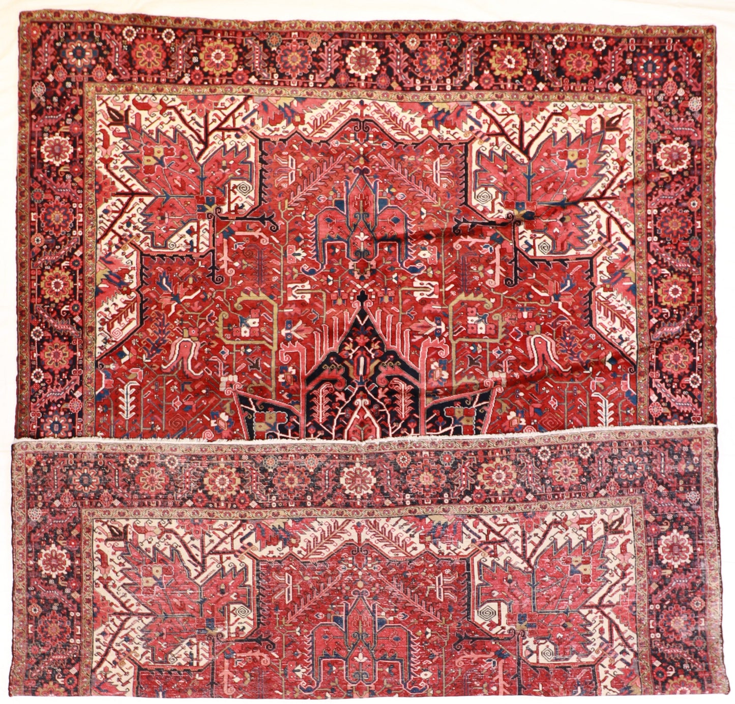 11 x 15 - Heriz Fine All Over Rectangle - Hand Knotted Rug