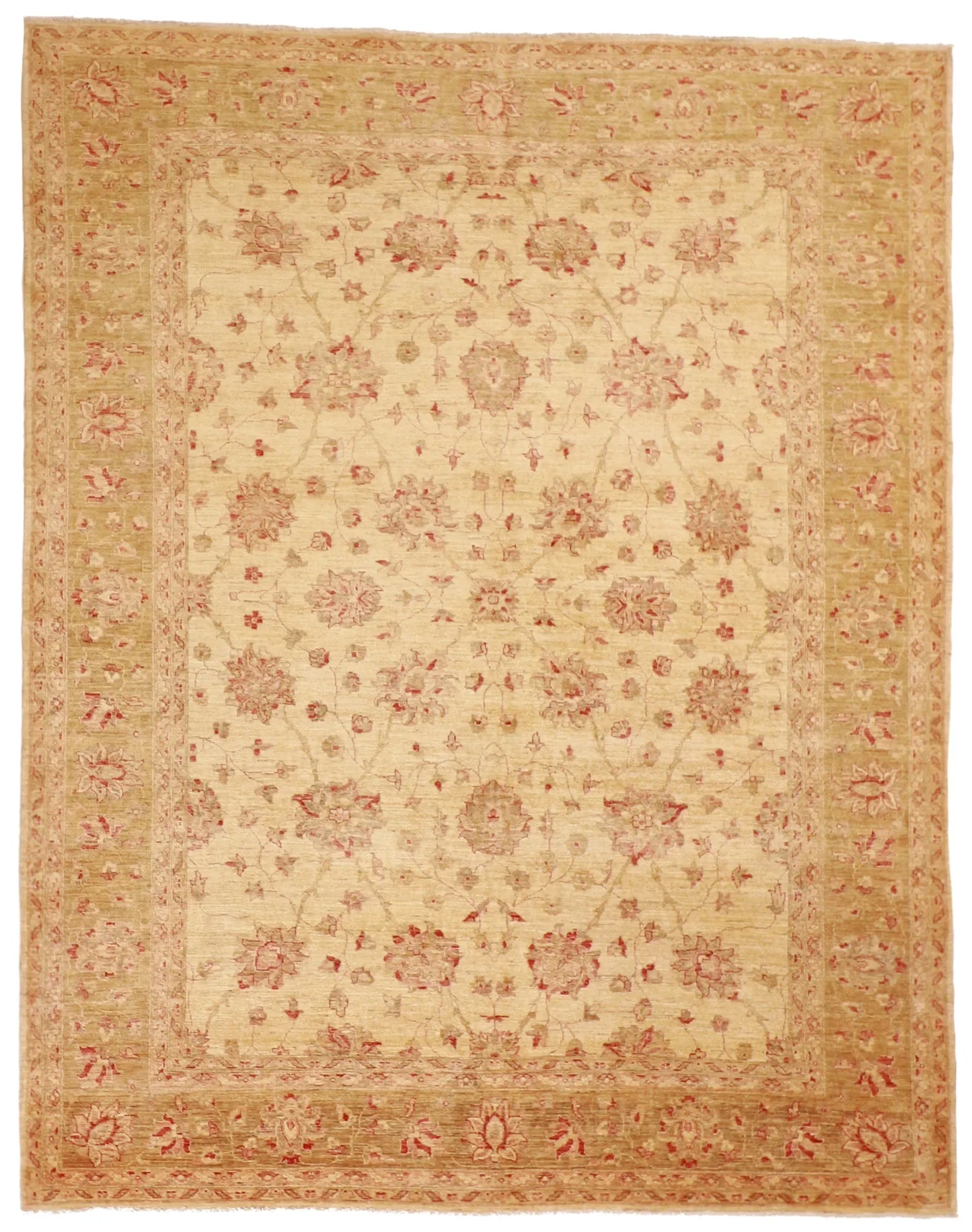 8x10 - Haj Jallie Wool All Over Rectangle - Hand Knotted Rug