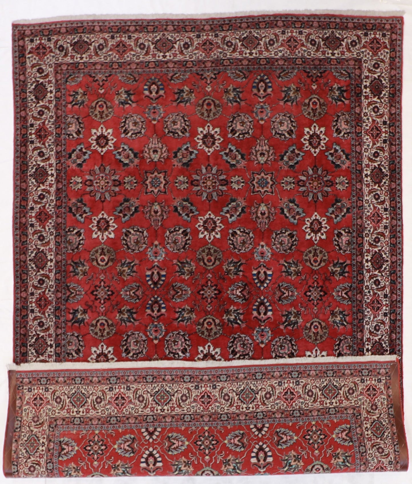 7x10 - Bijar Wool/Silk All Over Rectangle - Hand Knotted Rug