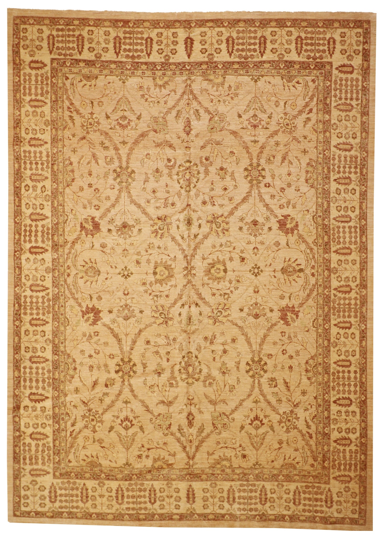 10x14 - Agra Fine Wool All Over Rectangle - Hand Knotted Rug