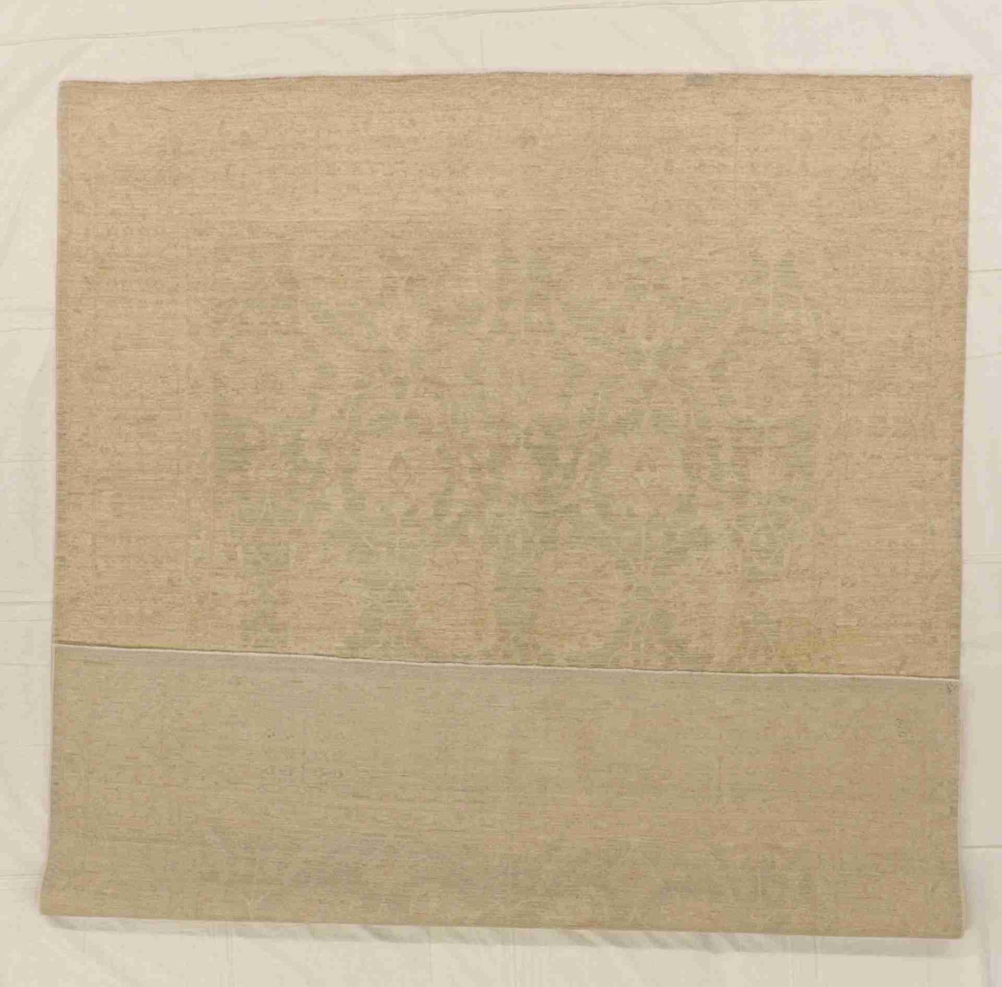 W 8 - L 9.10 - Tree of Life Wool Transitional Rectangle - Finest Hand-Knotted Quality Wool - 58249