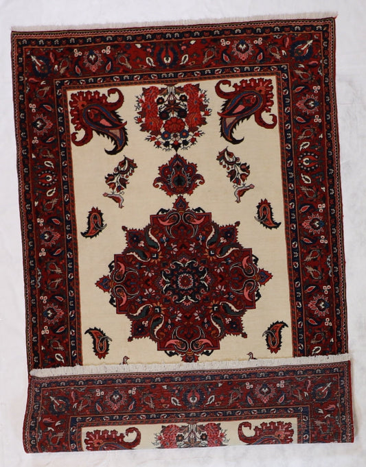 6x9 - Bakhtiarie Wool Medallion Rectangle - Hand Knotted Rug